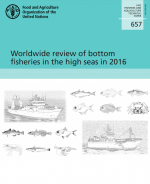 Worldwide review of bottom fisheries in the high seas in 2016